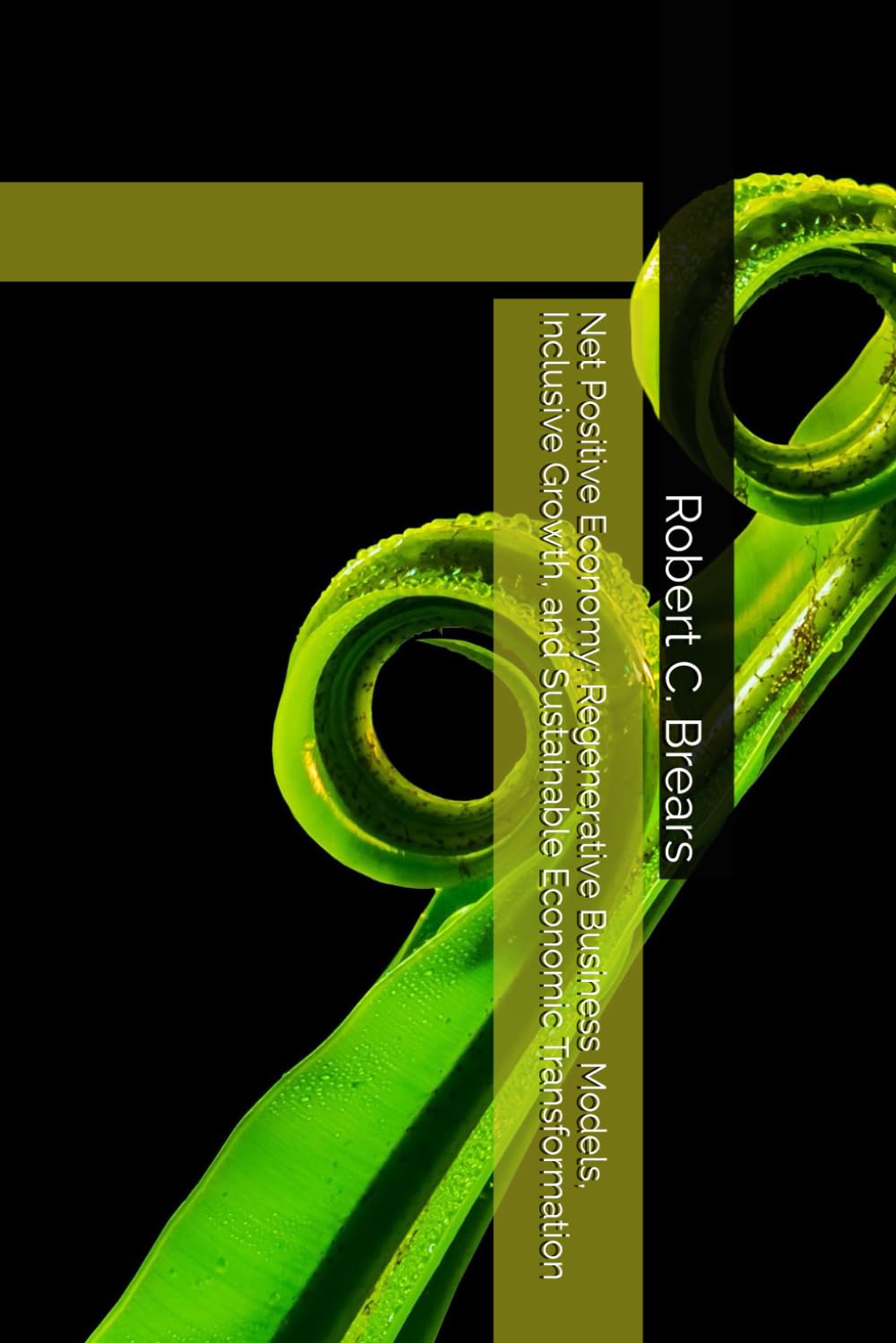 Net Positive Economy: Regenerative Business Models, Inclusive Growth, and Sustainable Economic Transformation