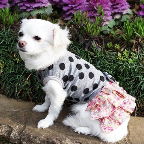 Amazon.co.jp: 犬服工房 ニット用ティアードワンピース 大きな