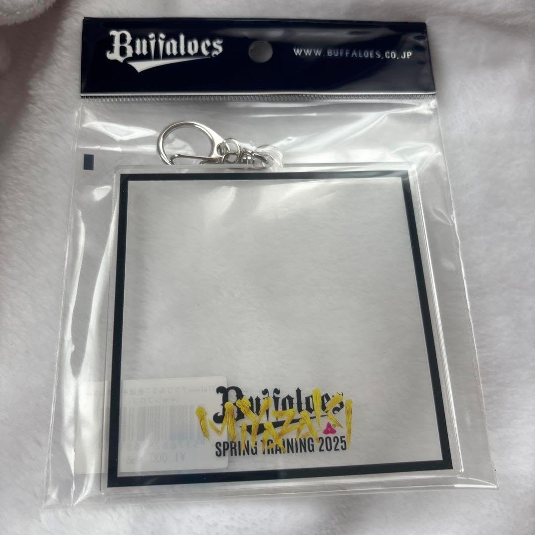 郵便創業百年記念メダル2点セット 郵便創業百年記念 純銀メダル／銅製