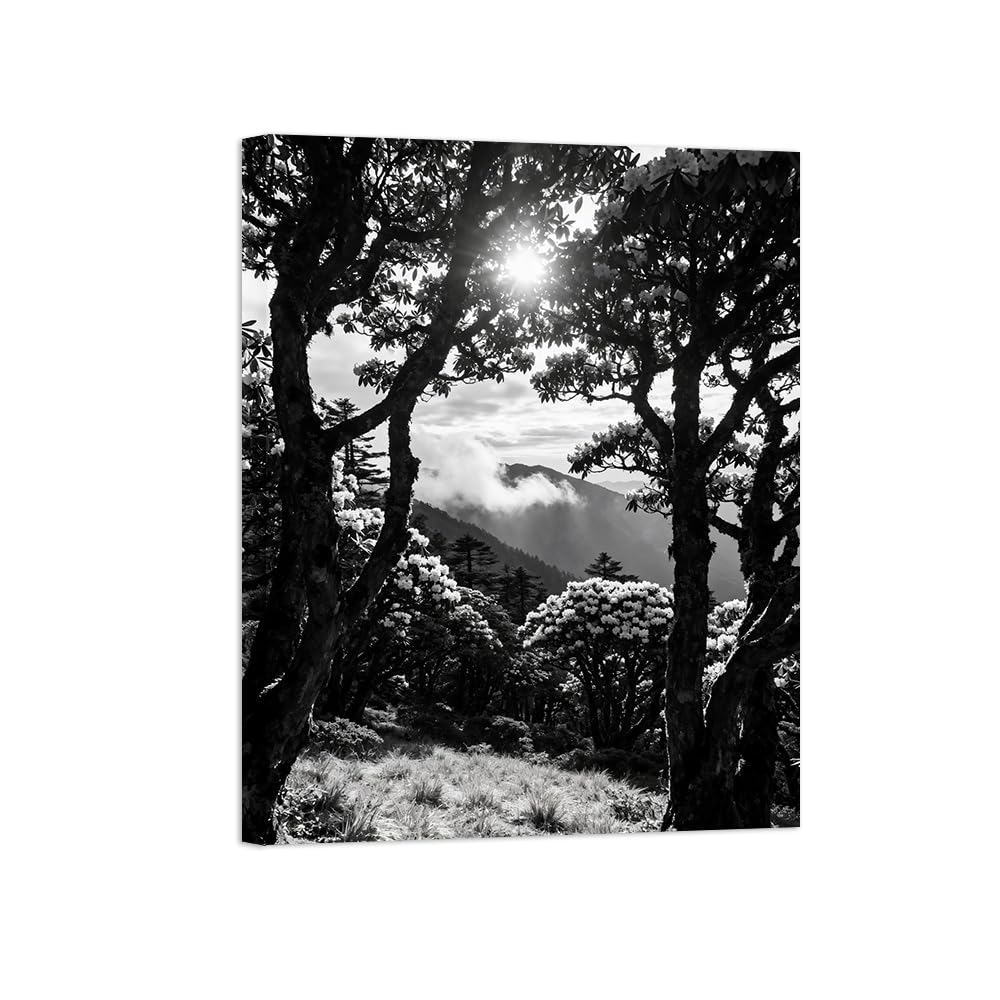 Black White Landscape Wall Art. Tree Sunshine 2. Picture 90x117cm Unframed