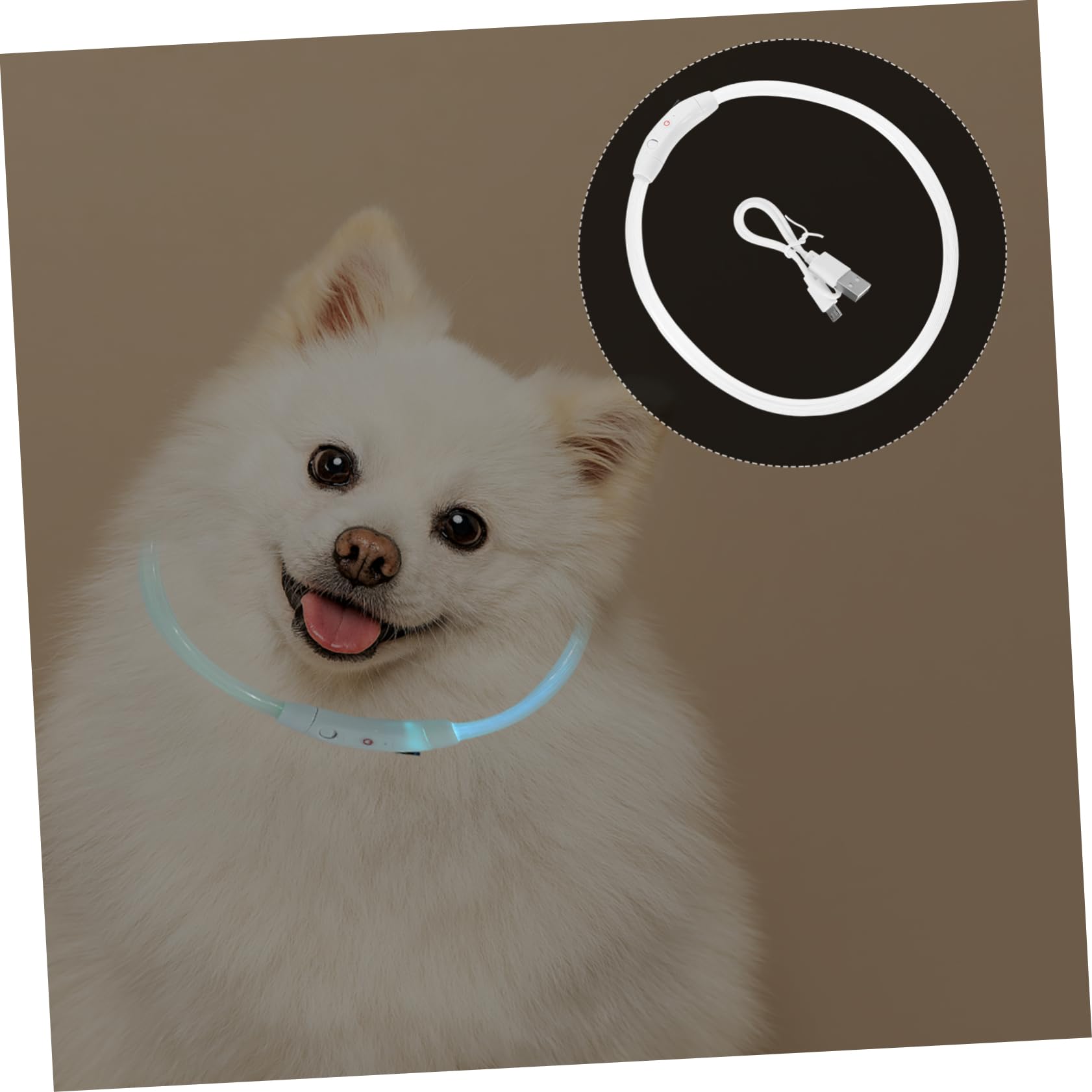 BESPORTBLE 3piezas Collar Led Reversible para Perros USB Recargable Atractivo y Ligero para Mascotas Pequeñas y Paseos Nocturnos