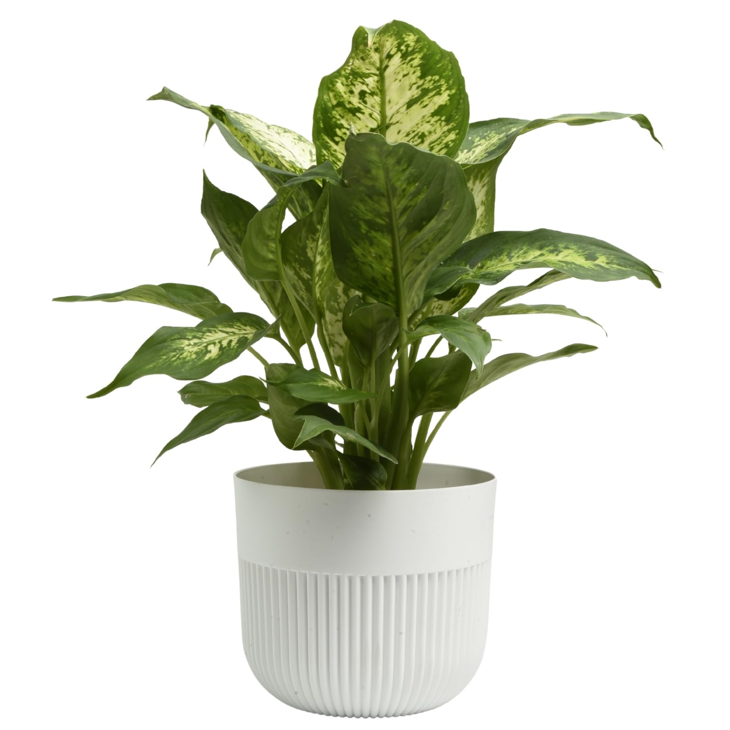 B2C Matt Ribbed Flower Pot – Modern Plastic Planter for Indoor & Outdoor Plants, Herbs & Succulents – Lightweight, Durable, Easy-Clean Design – Multiple Sizes & Colours (White, 13cm)