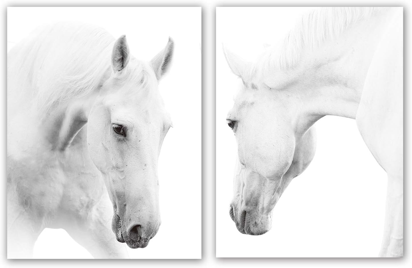 HPNIUB White Horse Wall Art Print Set Of 2 (12โX16โ,Unframed, Wild Horse Artwork, Animals Pictures of Horse Black White Canvas Wall Art For Bedroom Decoration, Minimalist Pint Home Decor