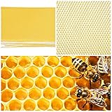 Esta base de cera de apicultura puede ayudar a desarrollar su nido y comenzar a criar las crías más rápido, y crear más miel de sobra.