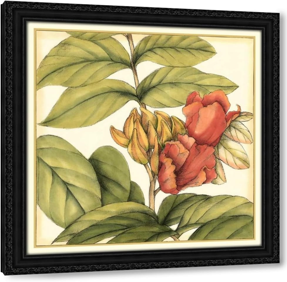 Goldberger, Jennifer 15x15 Black Ornate Framed and Double Matted Museum Art Print Titled Tropical Blooms and Foliage III