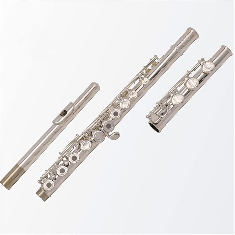 Flute Musical Instrument New Silver Plating 17 Open Hole Flute C Tone B Foot Italian Pads Leather Case Starter Flute,