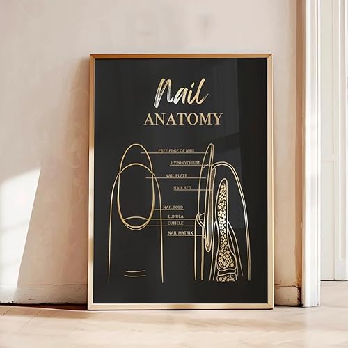 NATVVA Nail Anatomy Poster Nail Tech Wall Decor Nails Structure