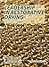 Leadership in Restorative Drying, 4th Edition