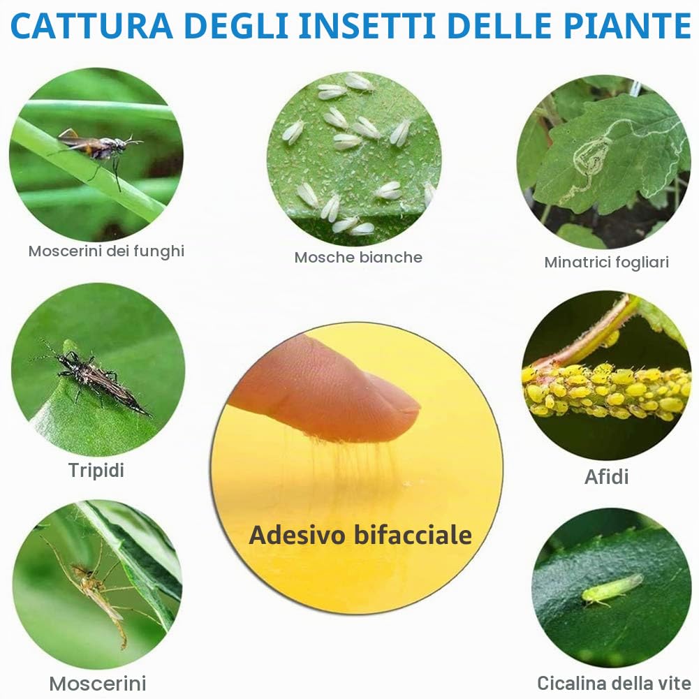 Sunshine smile 40 Lavagne Gialle per Insetti, Trappola Adesiva, Adesivi Gialli su Entrambi i Lati, Trappola Adesiva per Mosche (40-Giallo)