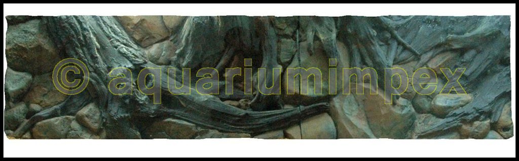 3D Rückwand 200x60 Aquariumrückwand Amazonas