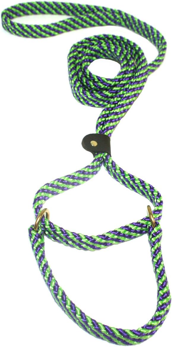 Lone Wolf 5/8 x 6' Flat Braid Martingale Leash Lime Green/Purple Spiral