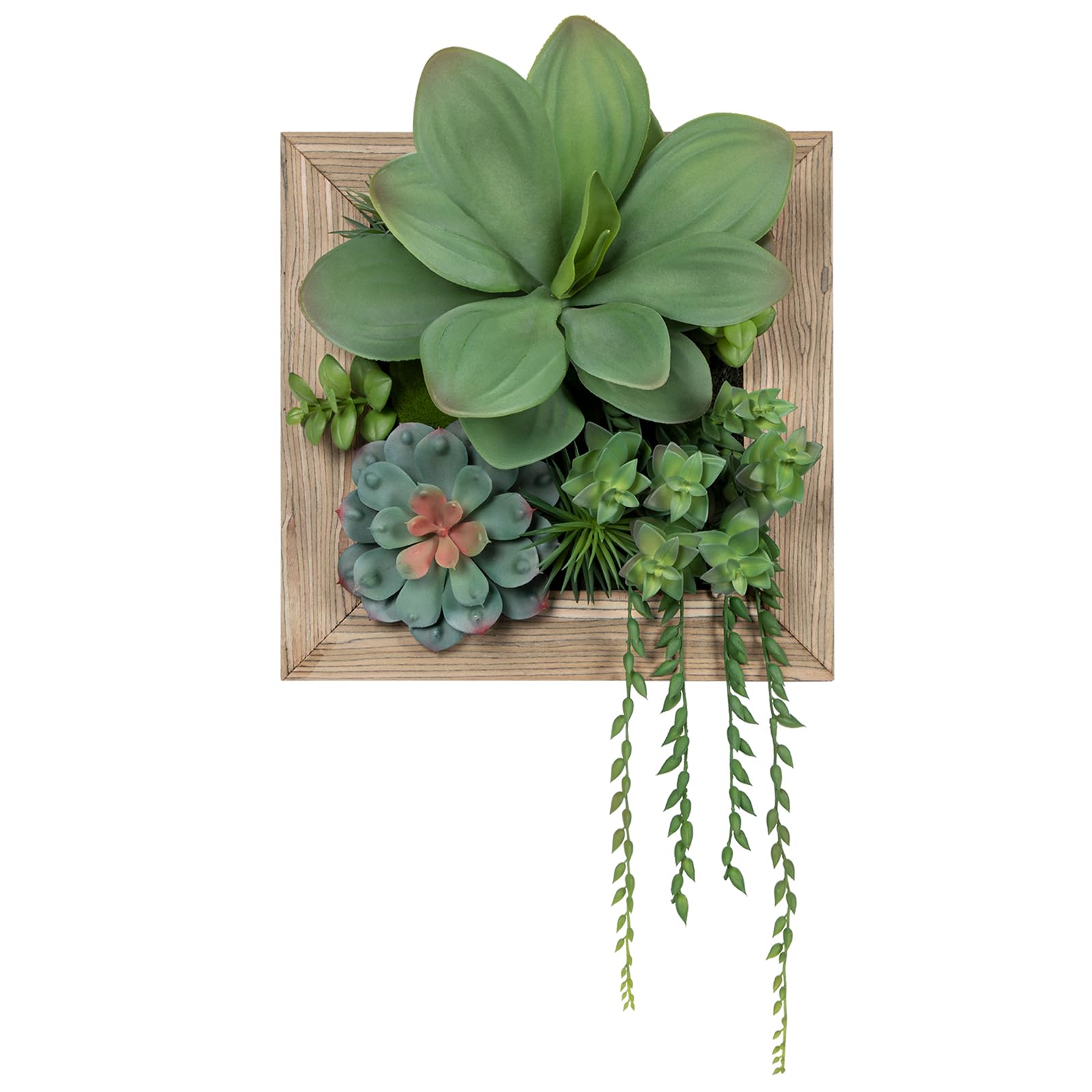 Plantes succulentes artificielles de prestige en boîte bois esthétique