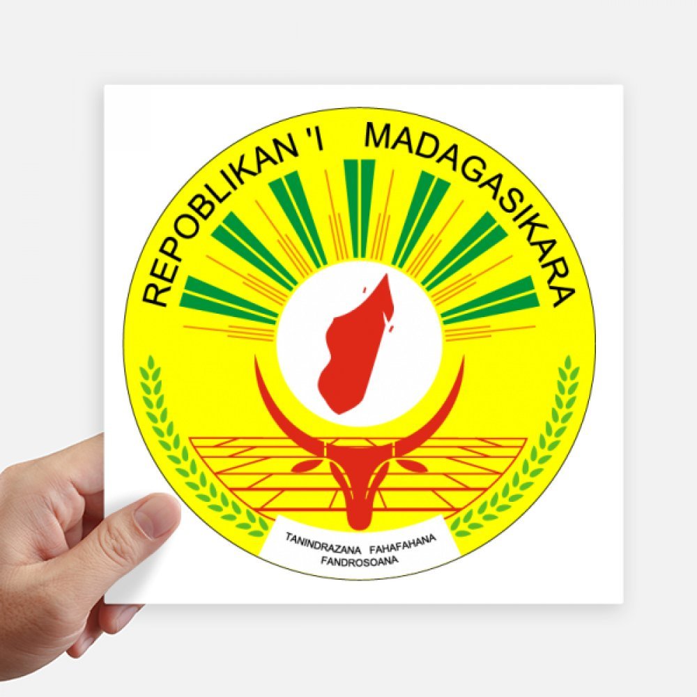 Autocollant Madagascar 20 cm pour masquer les rayures de valise et décorer un mur