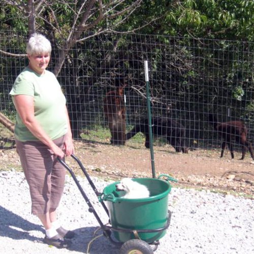 Springer Magrath DT00208 Muck Bucket 70-Quart