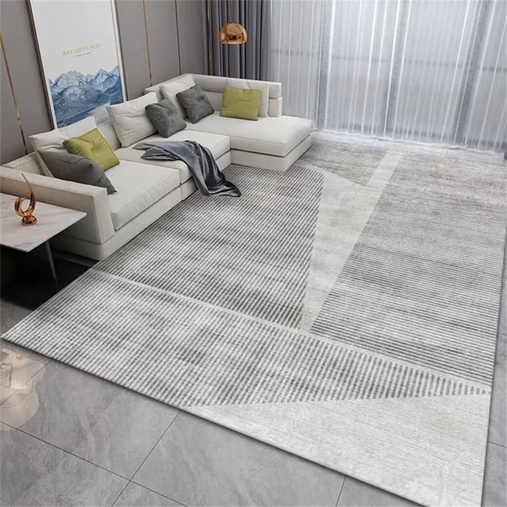 Tapis salon lavable en machine moderne et anti-poussière gris 160x210