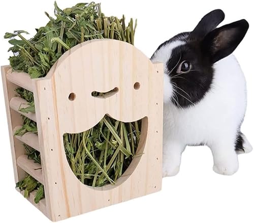 MOPQAWRV ETM q{bNX bN t[h{E  q tB[_[ p ؐ Œ