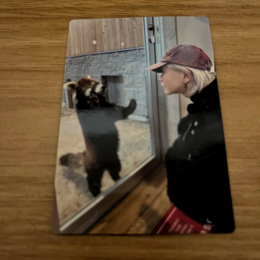 HYDE LIVE CHIPS カード シークレット レッサーパンダ 61sKATOErCL._UF894,1000_QL80_.jpg