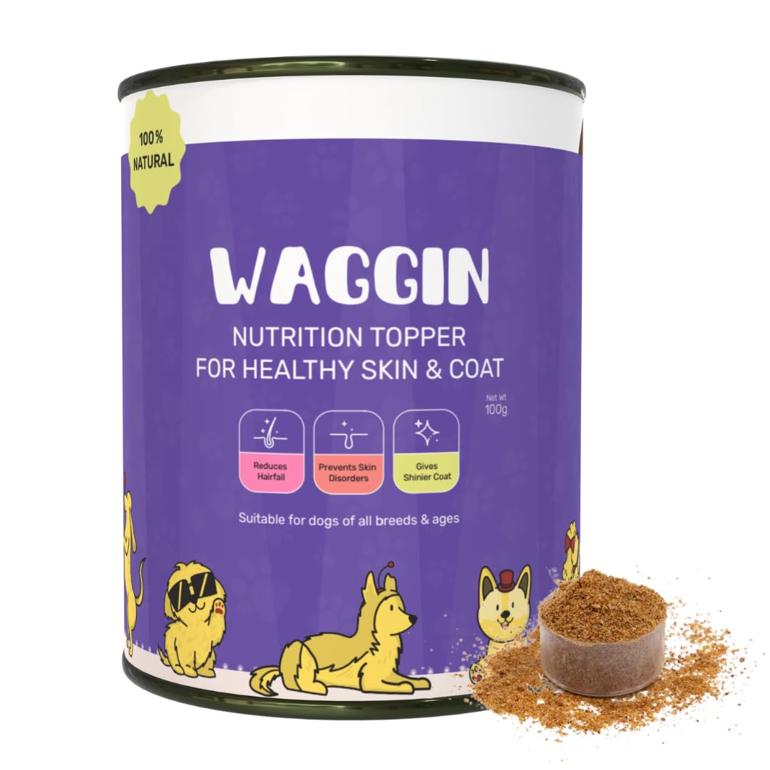 See full amazon price history chart for WAGGIN Everyday Nutrition Topper for Healthy Skin & Coat | Dog Supplement and Multivitamin | 100% Natural Human Grade Ingredients | All Life Stages | 100g WAGGIN Everyday Nutrition Topper for Healthy Skin & Coat | Dog Supplement and Multivitamin | 100% Natural Human Grade Ingredients | All Life Stages | 100g (B0D2RP8R67) Amazon Price History, Amazon Price Tracker