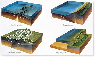 Geology Plate Tectonics Nillustration Of Four Zones Of Plate Tectonics Sea-Floor Spreading In Which New Earth Crust Is Created As Magma Rises Subduction Zone In Which A Seafloor Plate Descends Under A