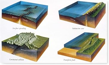 Geology Plate Tectonics Nillustration Of Four Zones Of Plate Tectonics Sea-Floor Spreading In Which New Earth Crust Is Created As Magma Rises Subduction Zone In Which A Seafloor Plate Descends Under A