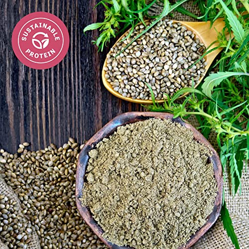 Judee's Organic Hemp Protein Powder 1.5 lb - All Natural Ground Hemp Seeds Powder - Great for Smoothies and Snacks - Non-GMO, Gluten Free and Nut Free - Image 6
