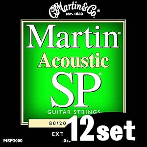 Amazon.com: Martin Martin Acoustic Guitar Strings SP Strings Set of 12