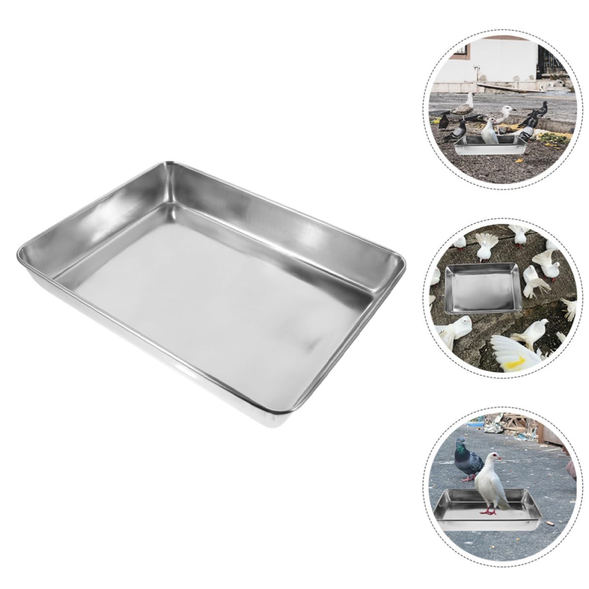 Vasca da Bagno in Acciaio Inox per Piccioni e Pappagalli, Design Profondo Anti-Spruzzo, Dimensioni 35X30 CM, Accessorio per Gabbie di Uccelli Domestici