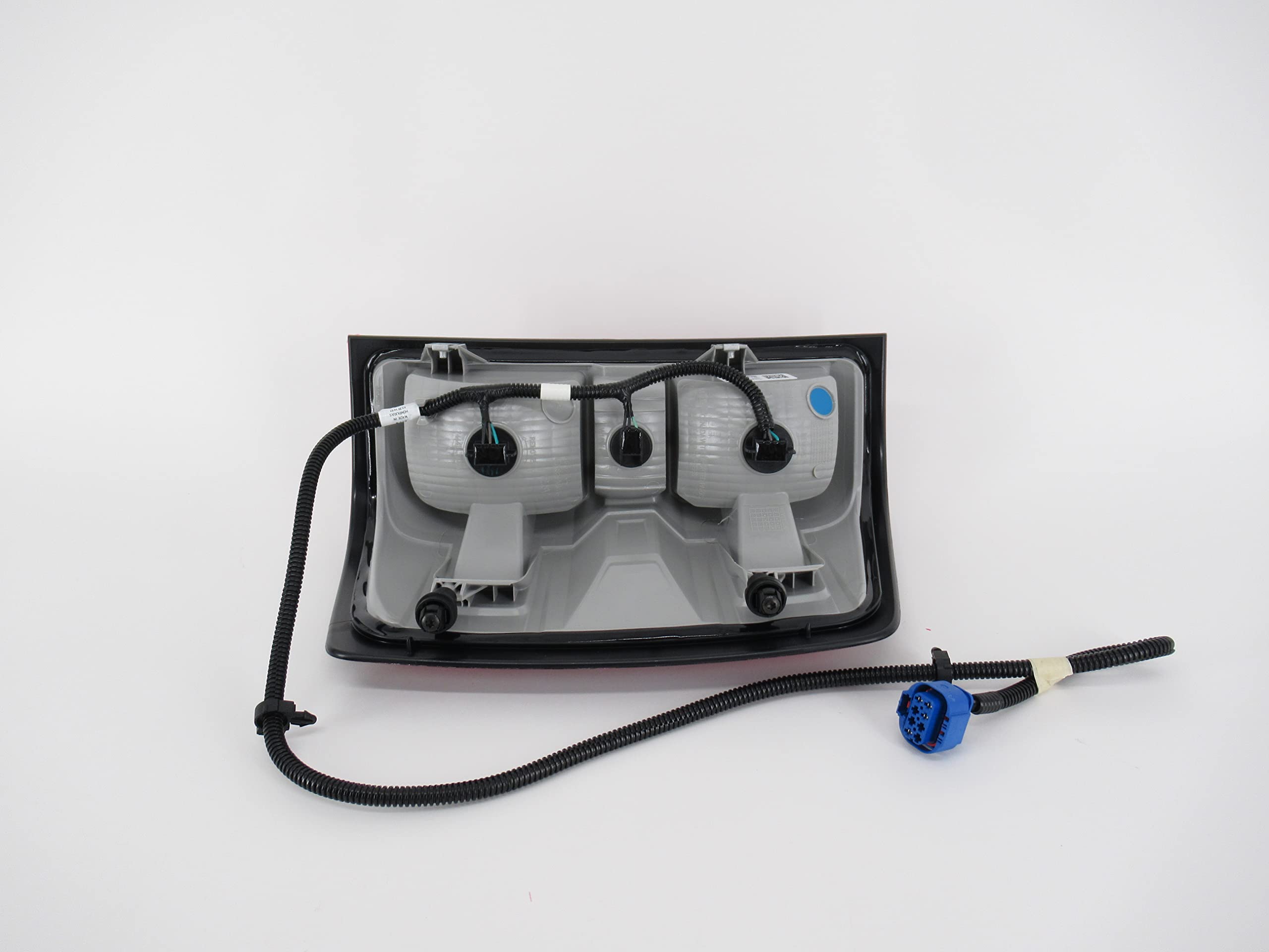 Amazon.com: GM 23431875 Lamp, Rear Body Structure Stop 