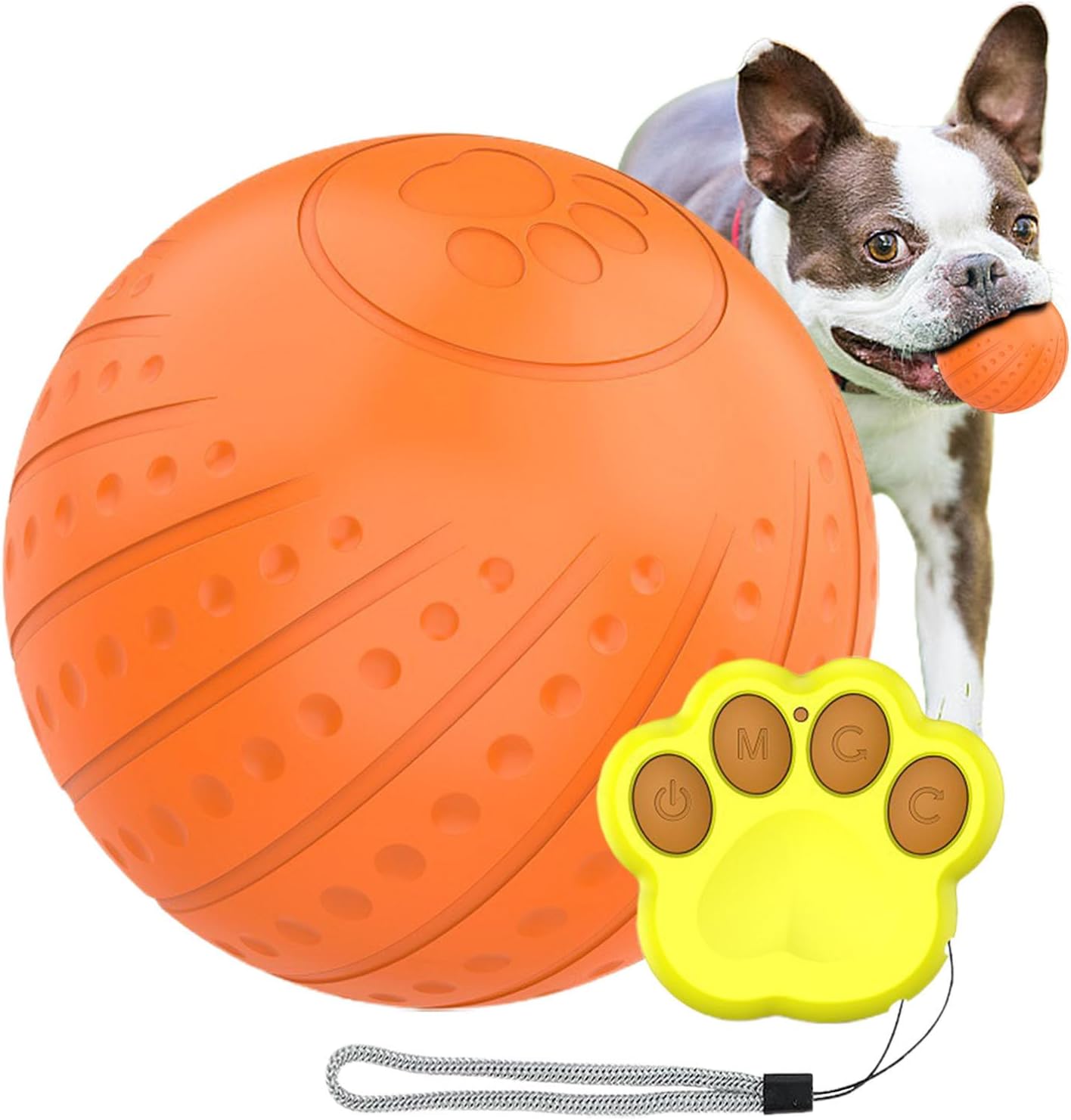 Balle roulante pour chiens Balles interactives intelligentes à