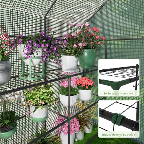 Image of Walk in Greenhouses, 57 x 57 x 76 inch Green House, Greenhouse for Outdoors with Durable PE Cover, Portable Greenhouse with Shelves Stands,Green