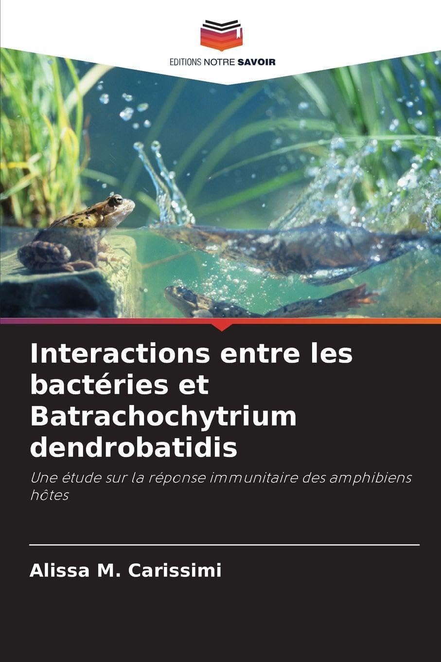 Interactions entre les bactéries et Batrachochytrium dendrobatidis: Une étude sur la réponse immunitaire des amphibiens hôtes