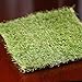 Factory Direct CraftÂ® Decorative Artificial Grass Square for Crafting, Fairy Gardens, and Terrariums