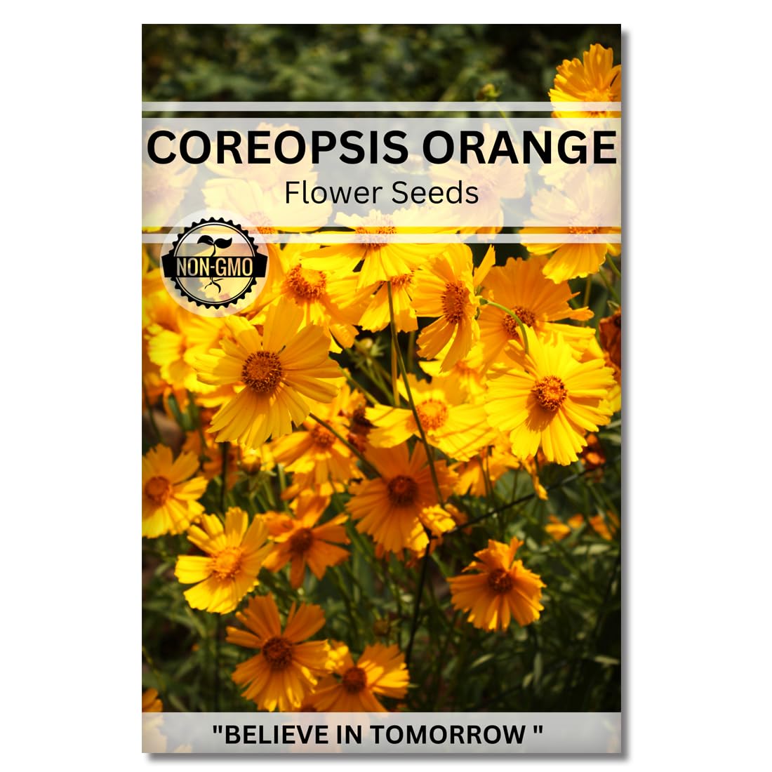 Navika Seeds ; Grow with Us Coreopsis Flower Seeds for Home Gardening& Terrace Gardening Winter & Summer Blooms in India-Includes Free E-Book for Kitchen,Backyard,Gardening & Planting.High Germination