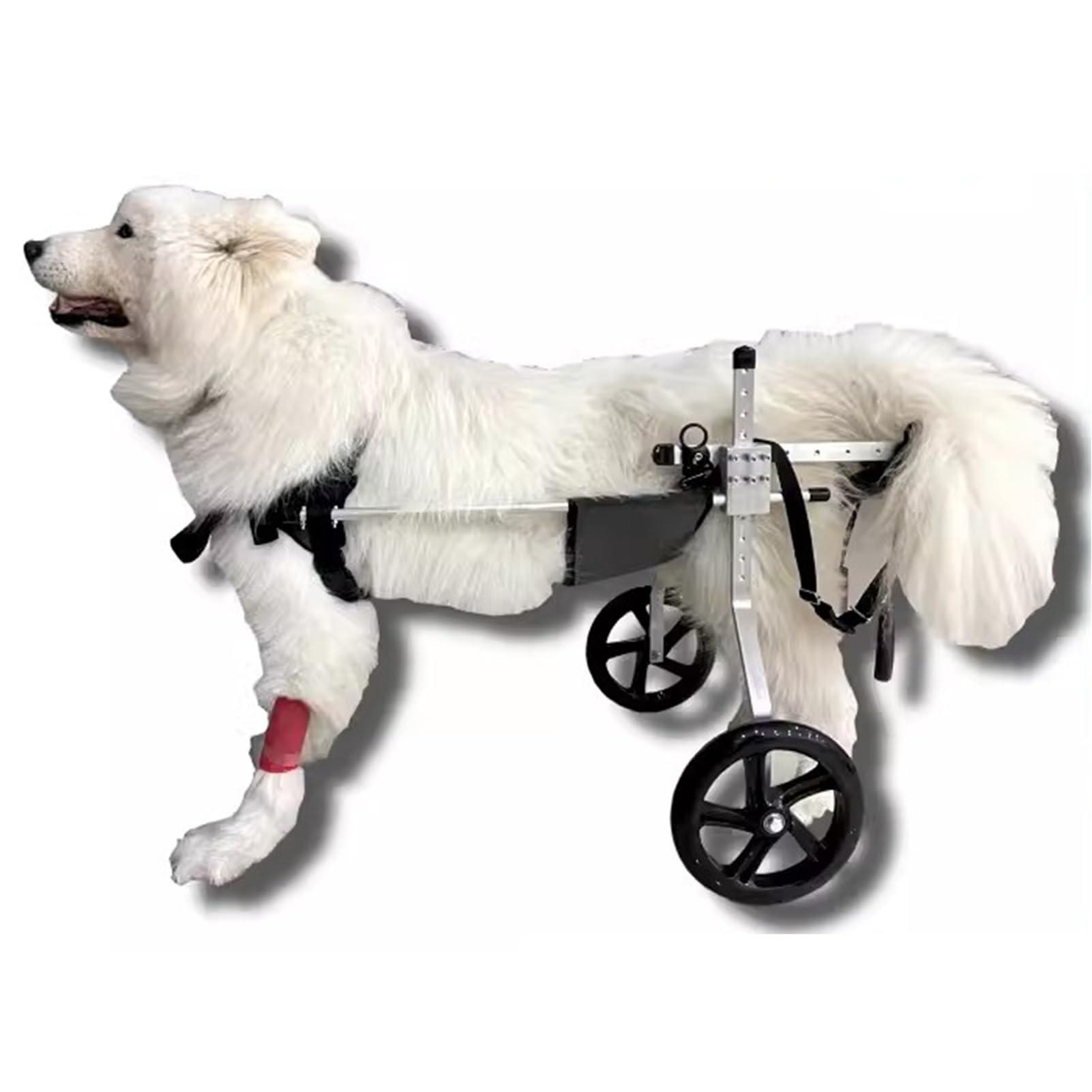 Silla de ruedas para perros medianos y grandes con andador de rehabilitación integrado
