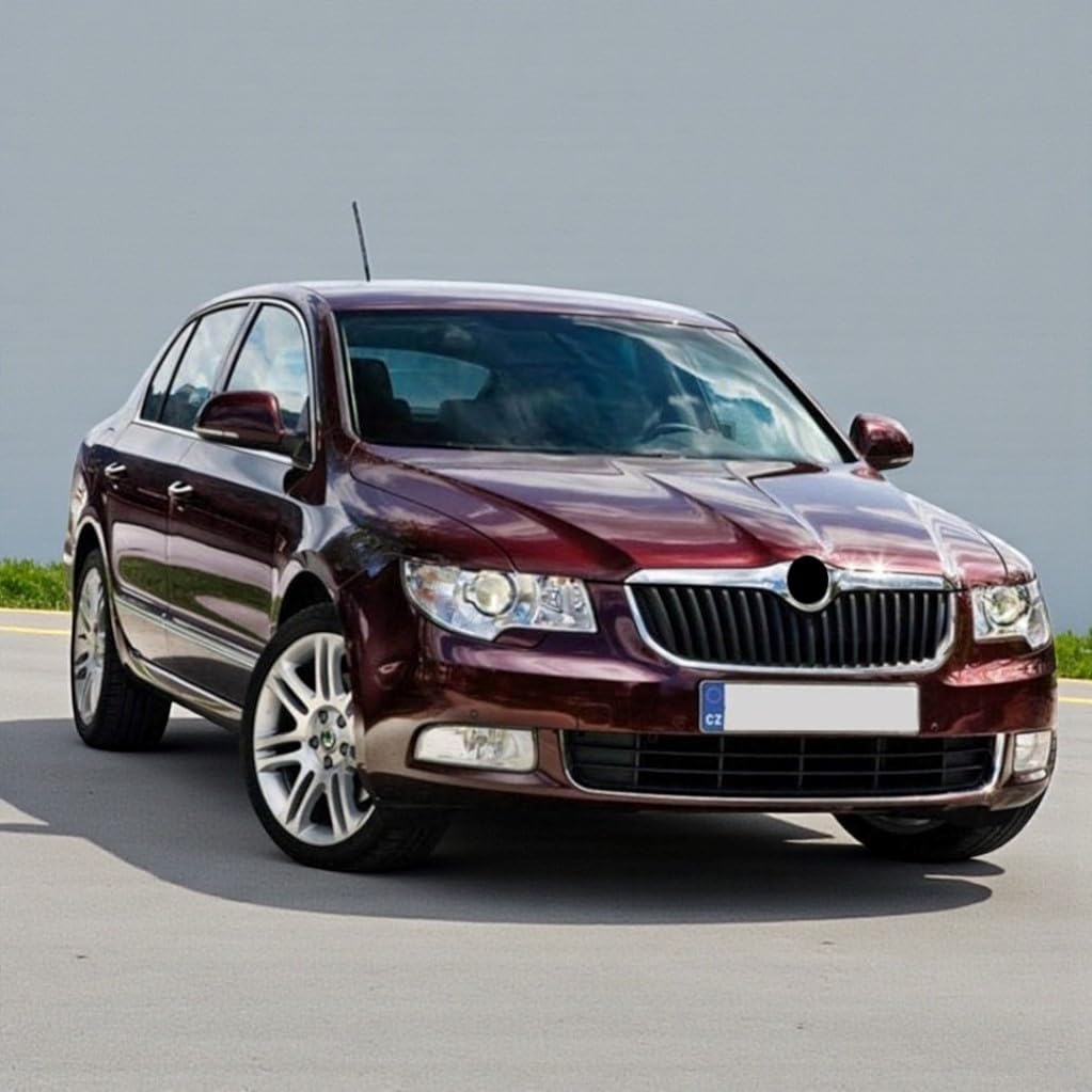 Sağ Arka Kapı Kolu İç Braketi 5N0839885F Skoda Superb ile uyumlu 2009-2013