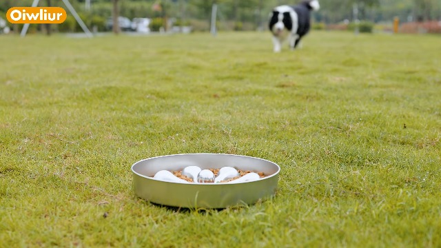 Oiwliur 2-Pack Slow Feeder Dog Bowls – Stainless Steel Metal Bowls with Double-Sided Design, 5 Cups Large Capacity for Dry, Wet, Raw Food, Slow Feeding for All Dog Sizes, Easy to Clean, Non-Slip - image 8