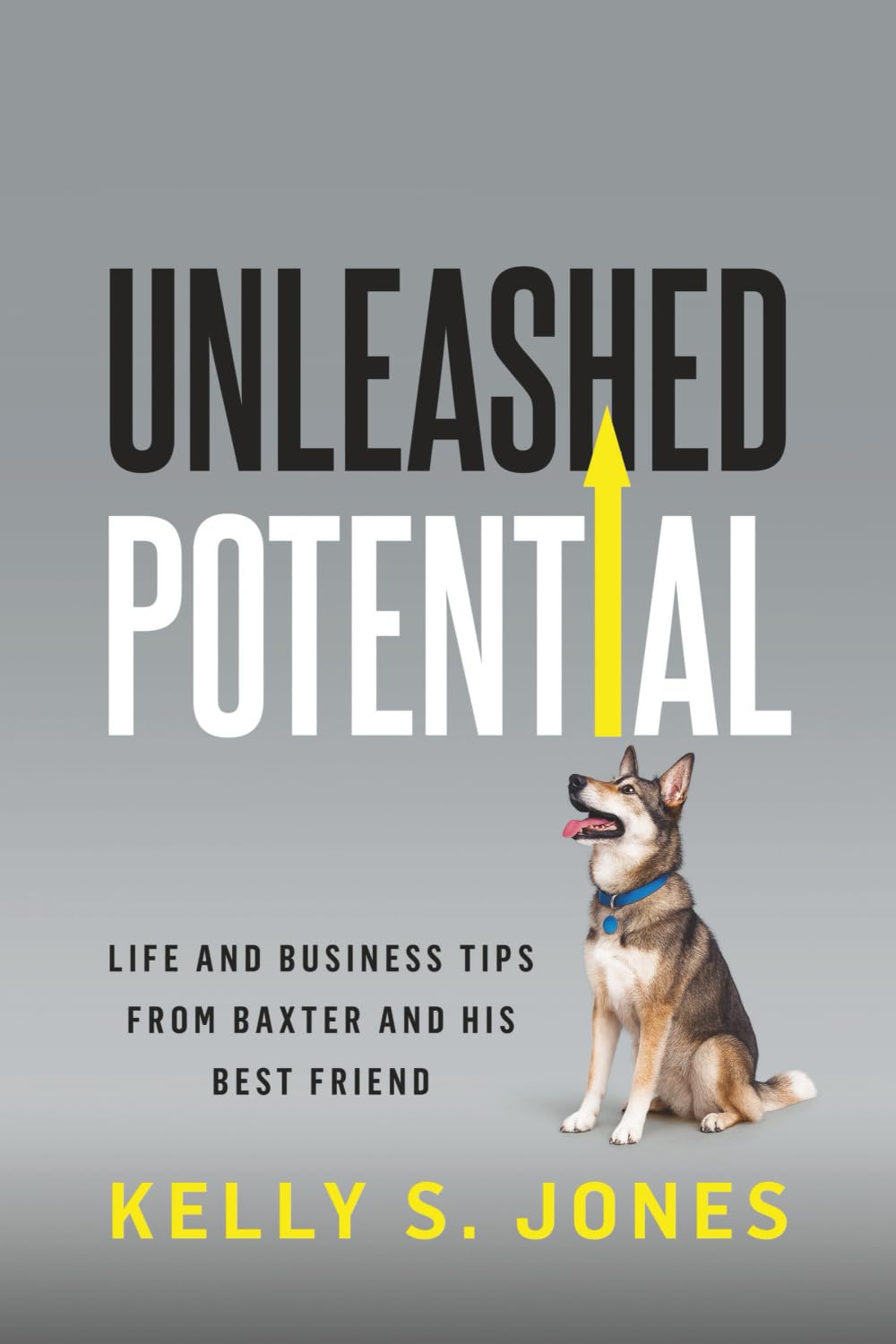 Unleashed Potential: Life and Business Tips from Baxter and His Best Friend