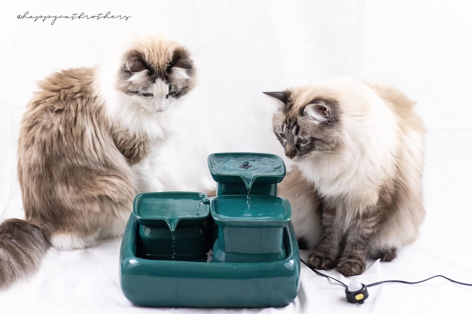 Miaustore Standard Ceramic Cat Water Fountain Motion Sensor