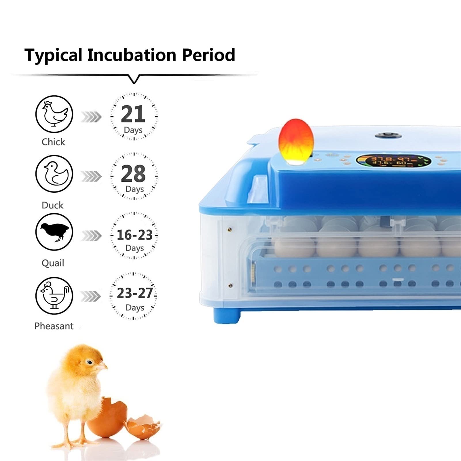 Incubateurs pour éclosion d'œufs avec tourneur automatique avec température et humidité LED Candler transparent poulets, canards, oies, cailles, oiseaux, 64 œufs