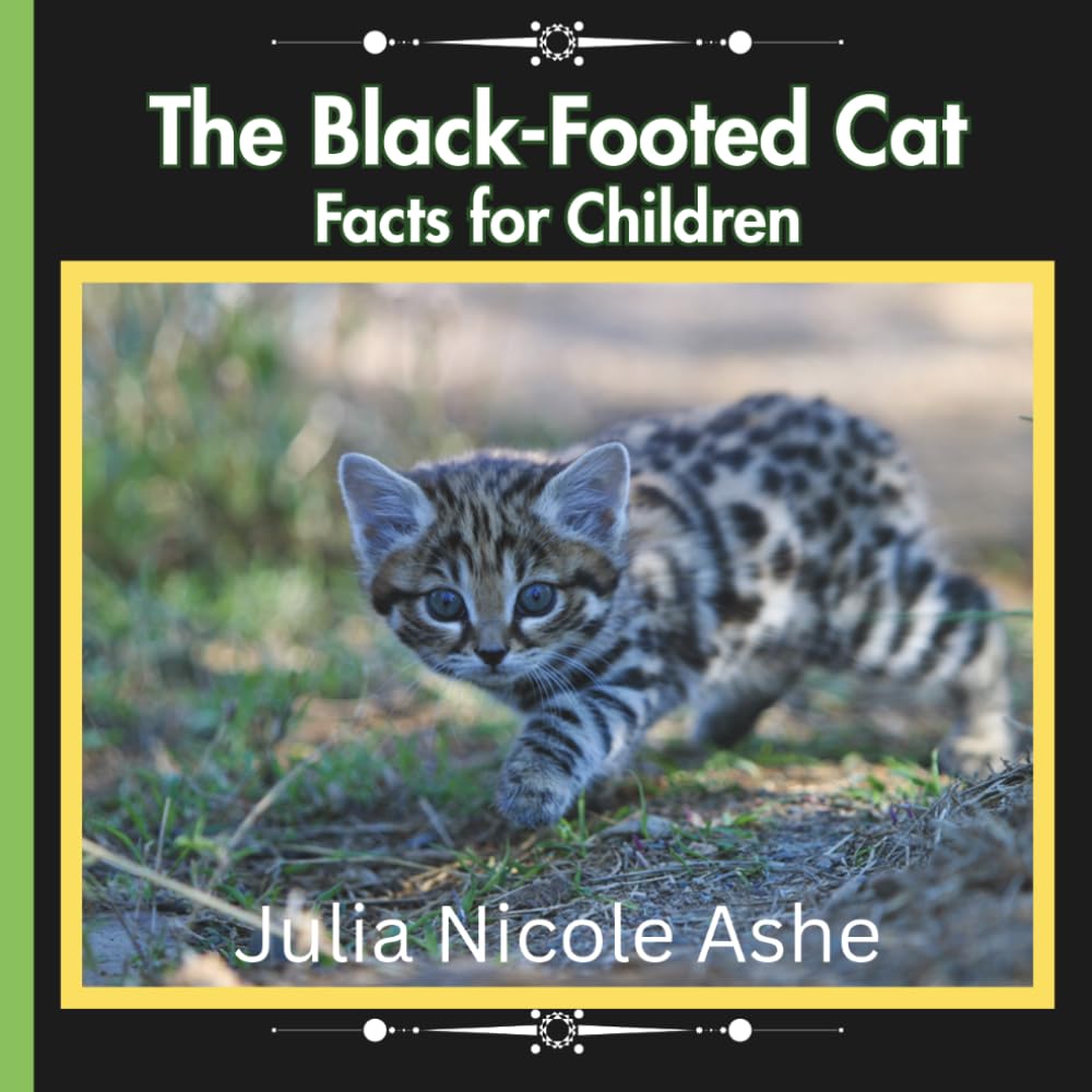 The Black-Footed Cat: Facts for Children (Informational Series)