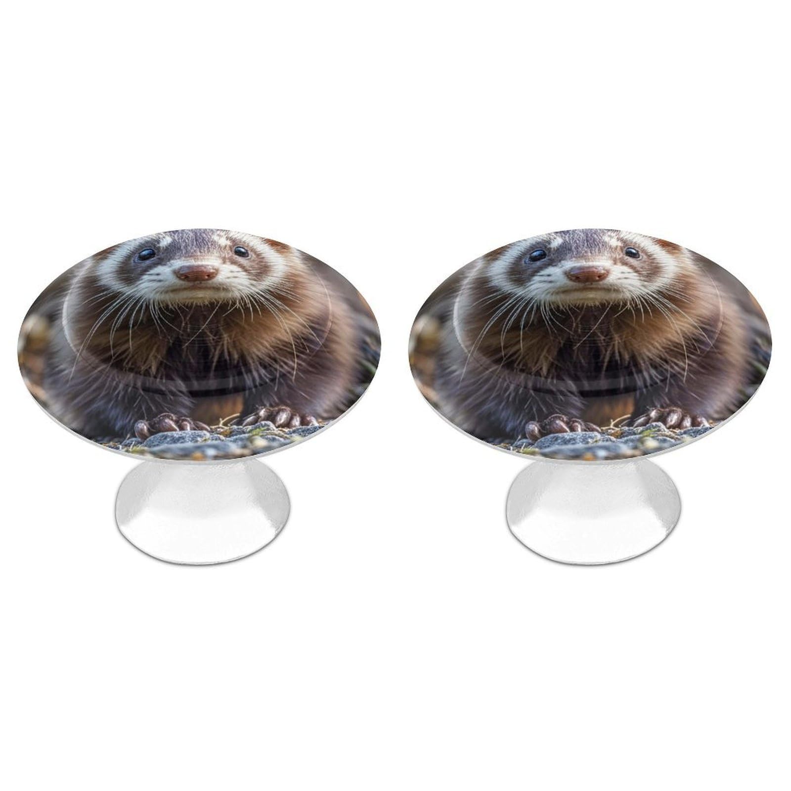 2 Pack Hairy Ferret Cabinet Knobs Round 1.1" Stainless Steel Dresser Knobs Single Hole Knob with Screws Door Pulls Handles Kitchen Hardware for Bathroom Cupboard Closet Door Wardrobe