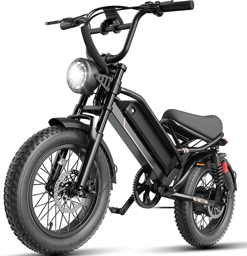 Electric Bike for Adults