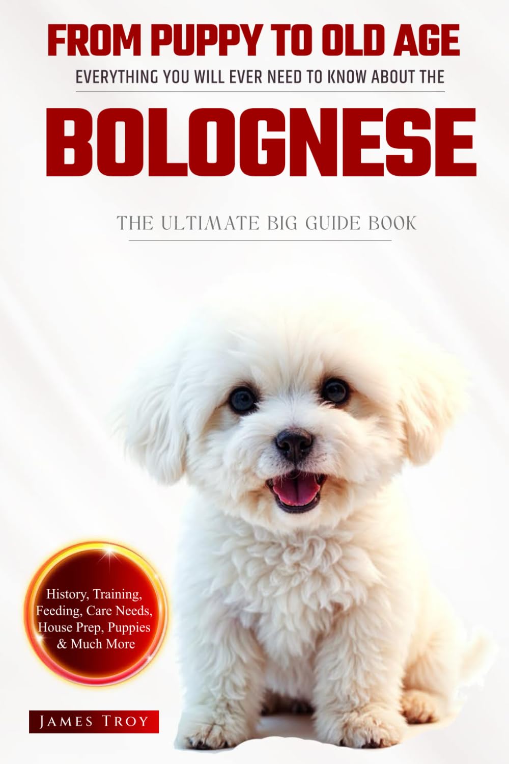 The Ultimate Bolognese Big Guide: Everything You Will Ever Need To Know About The Bolognese Book