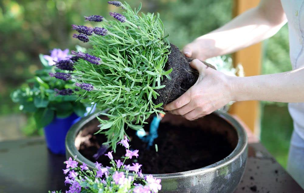 View 4