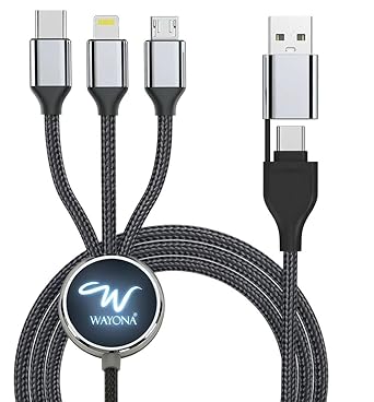 Wayona All in One 6-in-1 Charging Cable, USB-A & Type-C to Type-C, Lightning, Micro-USB, Fast Charging Lightup Cable 60W for iPhone,Android,Power Bank & Laptop