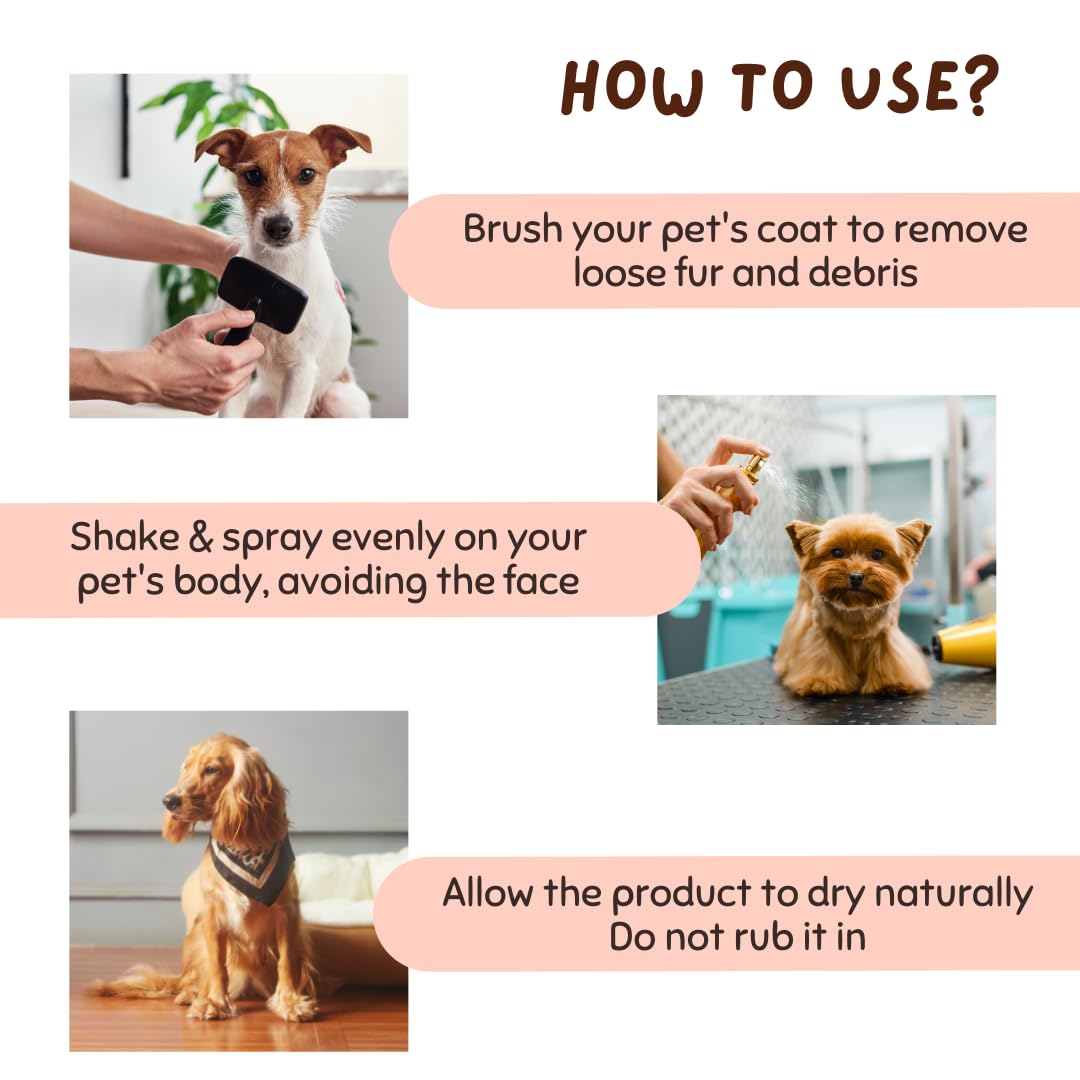 Coco Crush 100% Natural Anti Tick and Flea Pet Spray | for All Types of Dog & Cat | Anti Itch Spray with Neem and Lemongrass | Organic, Paraben Free, Cruelty-Free (50ML) 2