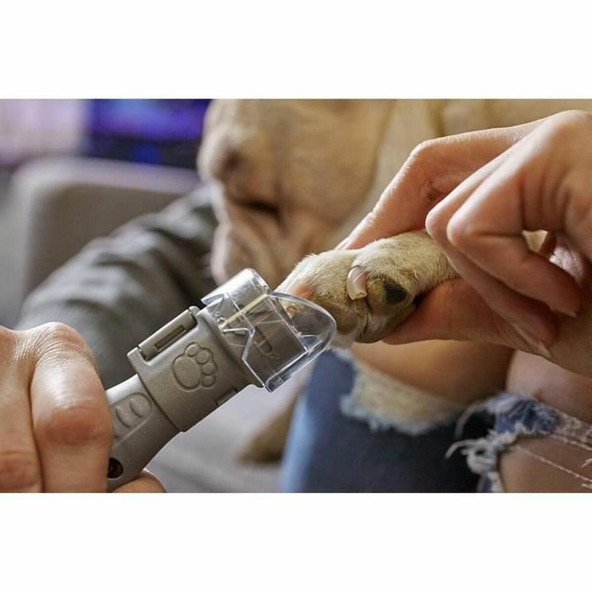 Dremel 7020 PGK Lima de Uña Eléctrica para Mascotas, Amoladora para Perros a Batería de 6V, Velocidad Variable, incluye Mandril y 4 Discos de Lija, Cabezal Protector y Profundidad de Corte Ajustable