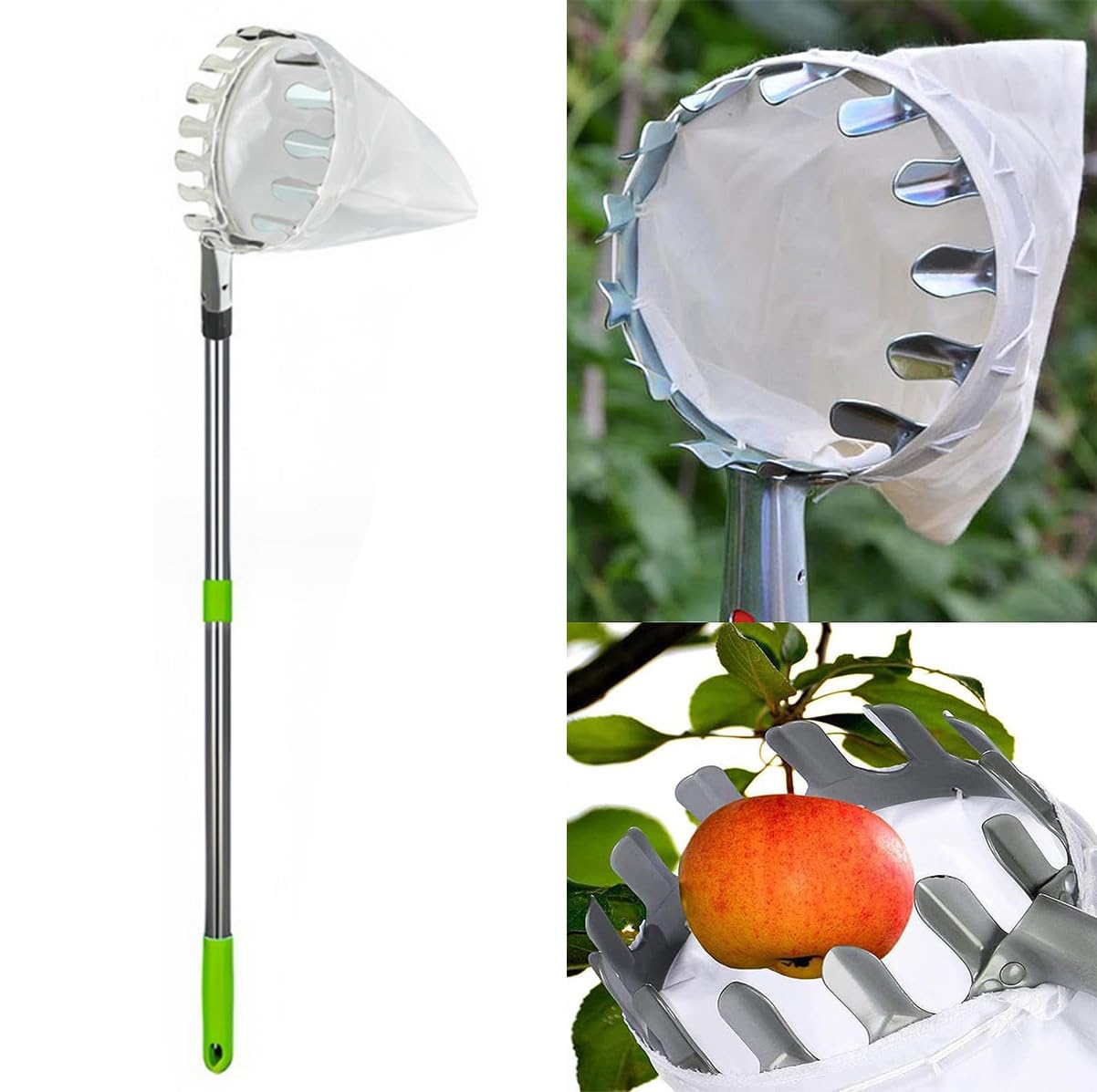 Herramienta de recolección de frutas extensible con varilla de acero inoxidable y bolsa de almacenamiento profesional para jardineros domésticos