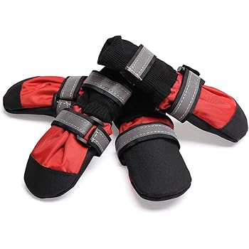 pedigree mini markies 12.5 kg