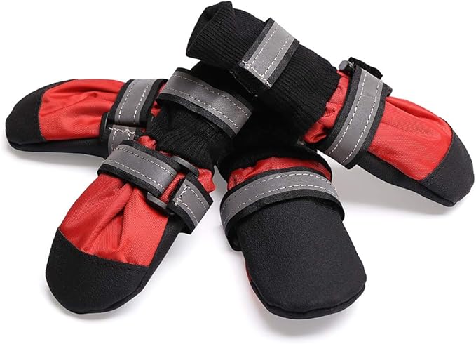 dog booties to stop scratching